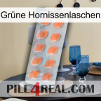 Grüne Hornissenlaschen 26